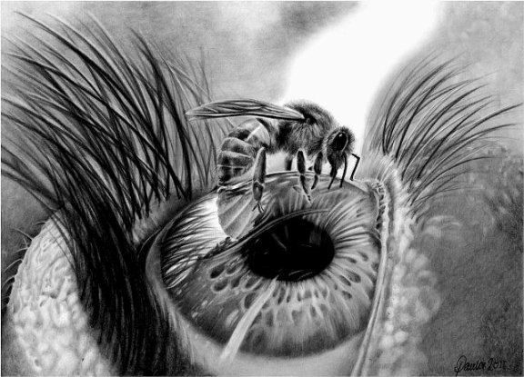 Apiphobia